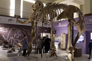 Симфония Ямала