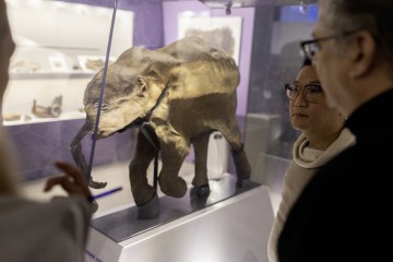 Симфония Ямала